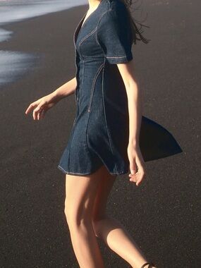 Zara denim dress